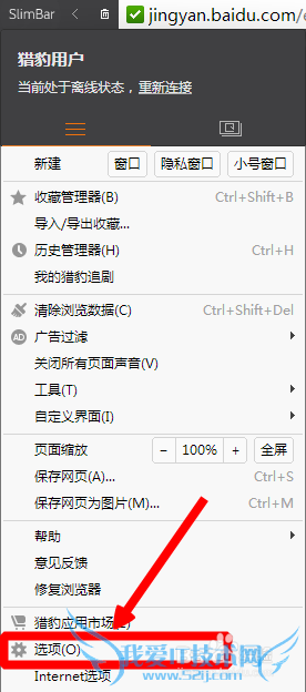 浏览网页如何通过缩放页面实现显示更大文字内容