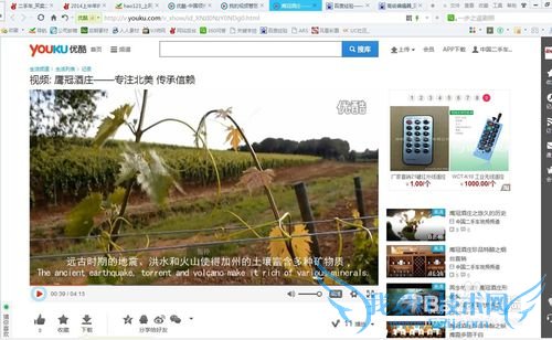 怎么下载在网页上看过的视频?