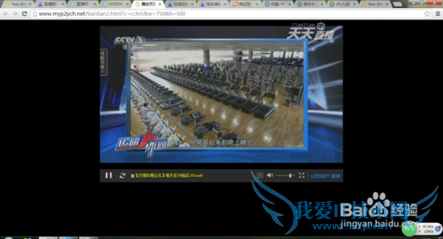 怎样用网页看直播赛事