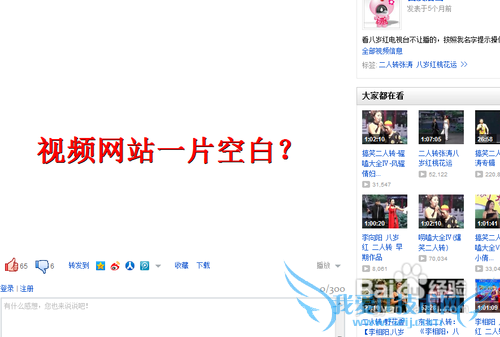 网页不能播放视频怎么办