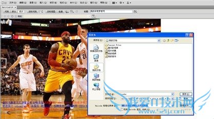 如何添加网页文本?
