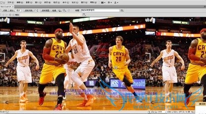 如何添加网页文本?