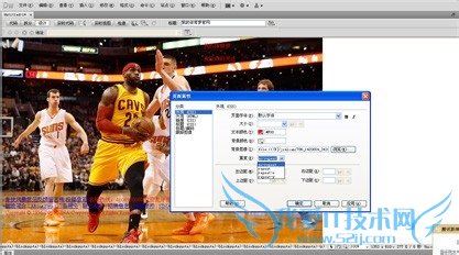如何添加网页文本?
