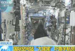 ʿռվ̫աɡ: ɵԱ