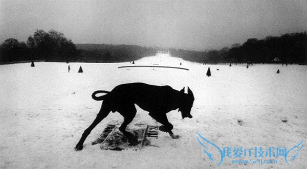 全球唯一:徕卡为寇德卡特制宽幅版S2黑白单反相机