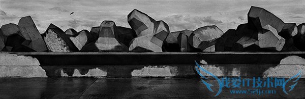 全球唯一:徕卡为寇德卡特制宽幅版S2黑白单反相机