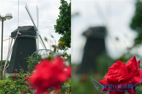 无反相机也能先拍照后对焦了