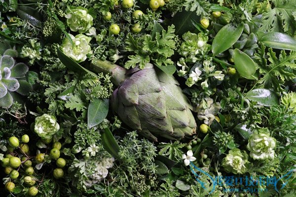 桤ëգ1D X Mark IIײ