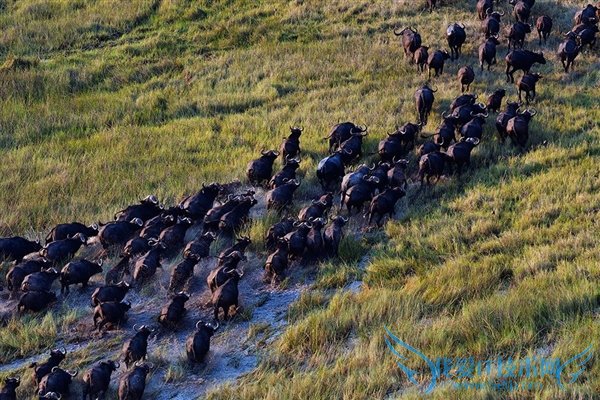 ׿APS-C4K῵D500ţԽǿ