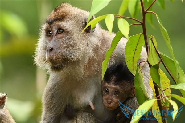 ׿APS-C4K῵D500ţԽǿ