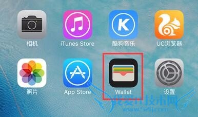 Apple PayôãiPhone 6ͨ