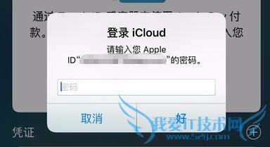 Apple PayôãiPhone 6ͨ