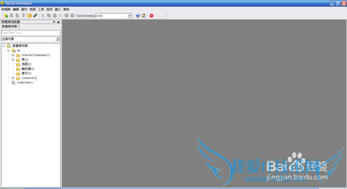 Sqlite Developer破解教程