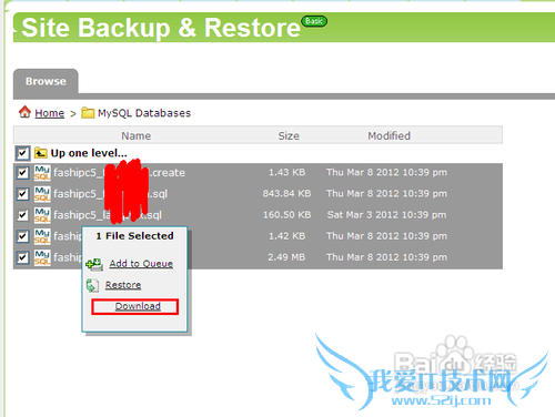 Hostmonsterαվݿ⼰ļ