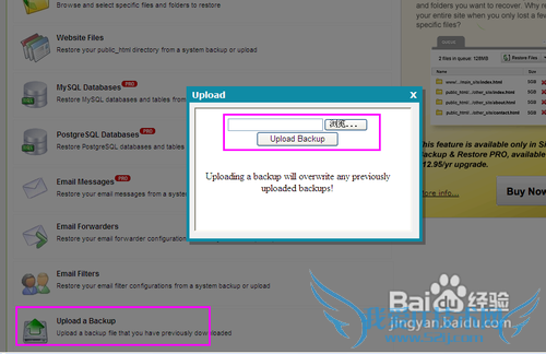 Hostmonsterαվݿ⼰ļ