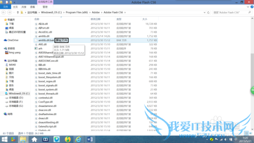 adobe安装及激活