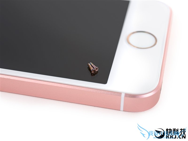 5SºףiPhone SE⣺ƻ̫͵