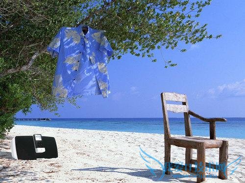 iPodҸ PlayDock i500 