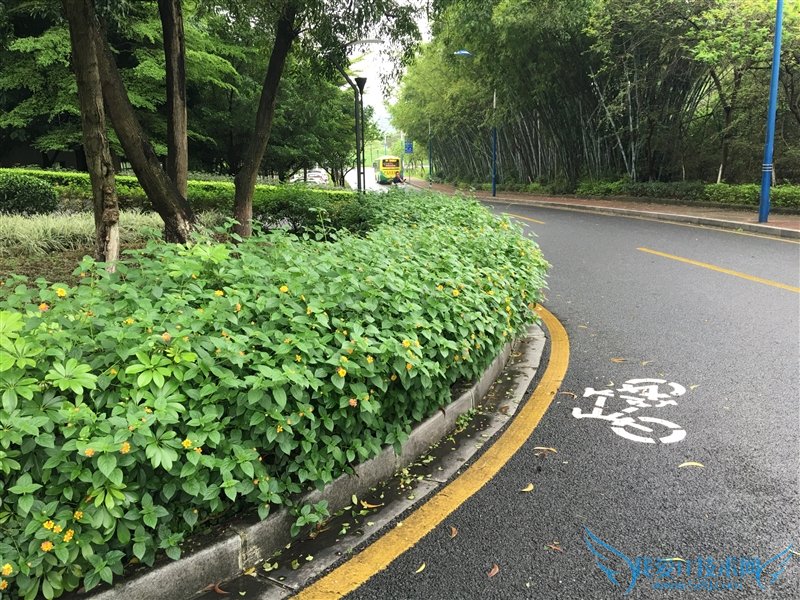 3799元!HTC 10上手体验:拍照媲美GS7