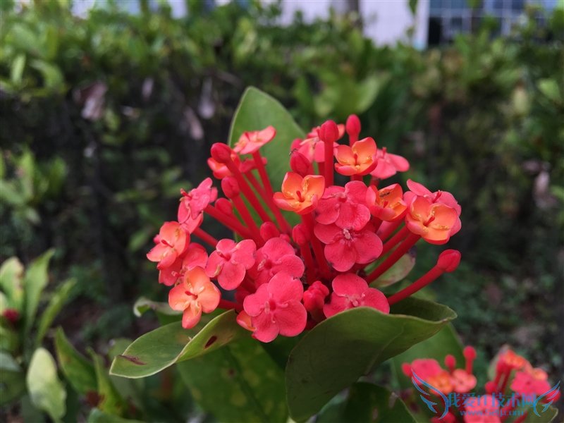 3799元!HTC 10上手体验:拍照媲美GS7