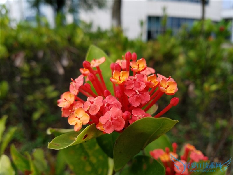 3799元!HTC 10上手体验:拍照媲美GS7