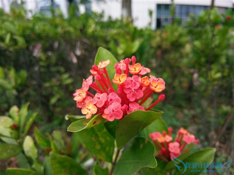 3799元!HTC 10上手体验:拍照媲美GS7