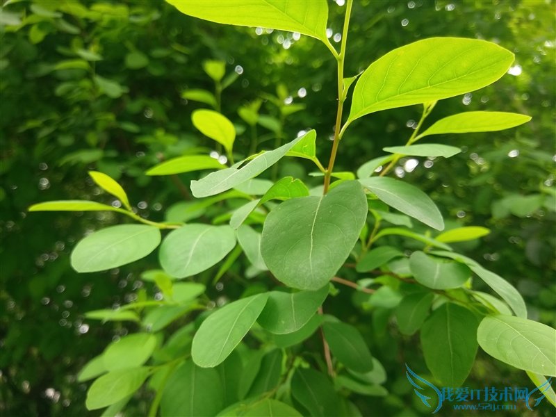 3799元!HTC 10上手体验:拍照媲美GS7