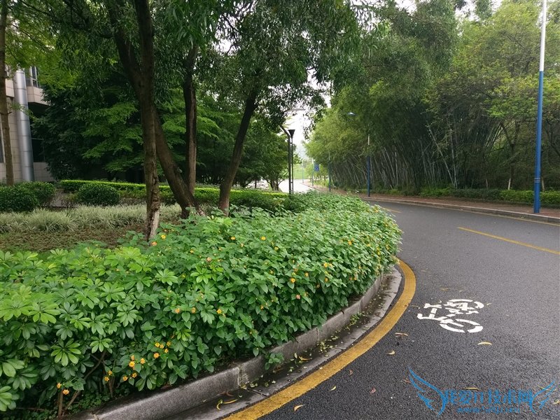 3799元!HTC 10上手体验:拍照媲美GS7