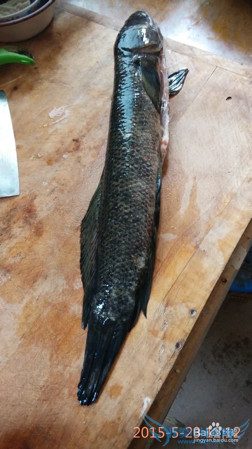 ��ͷ��������