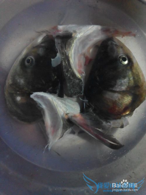 农家鱼头豆腐汤