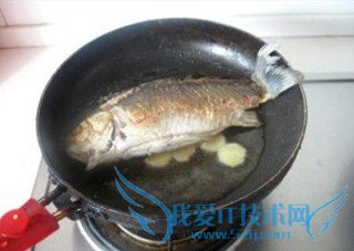 鲫鱼豆腐汤—孕妇补身子必备