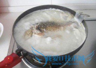 鲫鱼豆腐汤—孕妇补身子必备