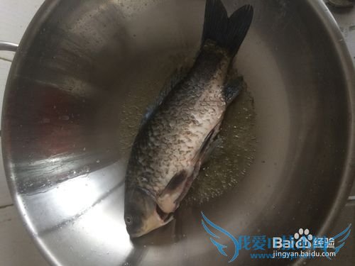 经典奶白鲫鱼豆腐汤