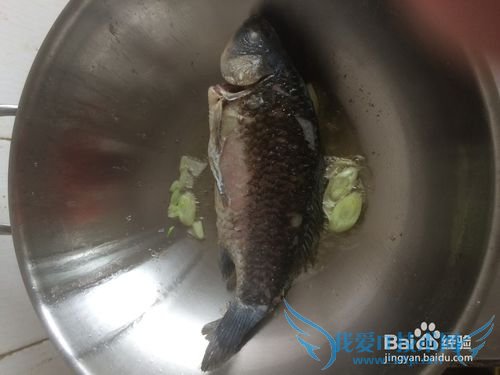 经典奶白鲫鱼豆腐汤