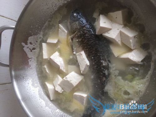 经典奶白鲫鱼豆腐汤