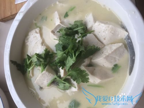 经典奶白鲫鱼豆腐汤