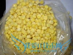 秋收嫩玉米冬吃鲜玉米