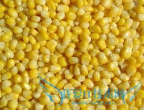 秋收嫩玉米冬吃鲜玉米