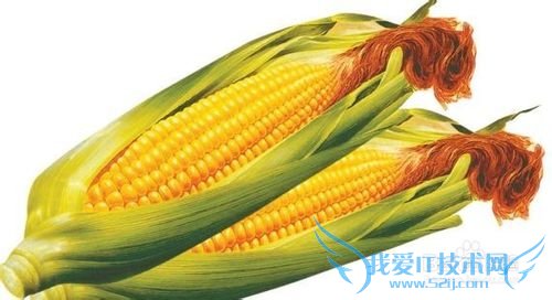 秋收嫩玉米冬吃鲜玉米