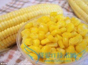 秋收嫩玉米冬吃鲜玉米