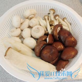 Ïļ¾¿É¿ÚС²Ë------ʲ½õ¾ú¹½½´