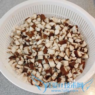 Ïļ¾¿É¿ÚС²Ë------ʲ½õ¾ú¹½½´