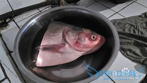 如何做黑木耳鱼头豆腐