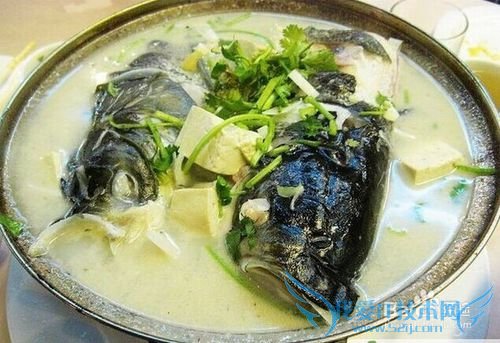 如何做鱼头 炖豆腐