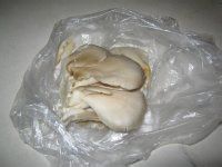 豆腐丸子蘑菇汤