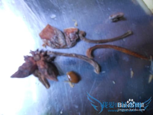 炖大豆腐的做法