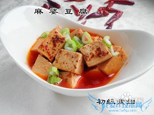 简单上手懒人版--麻婆豆腐