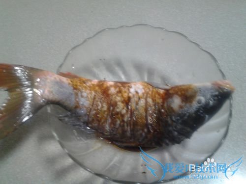 美多汁糖醋鲤鱼