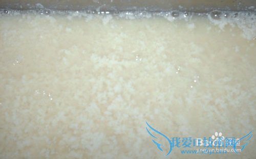 跟我一起自制石膏豆腐