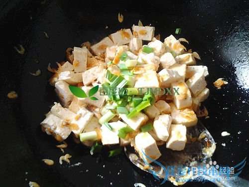 怎么做小虾米爆炒豆腐